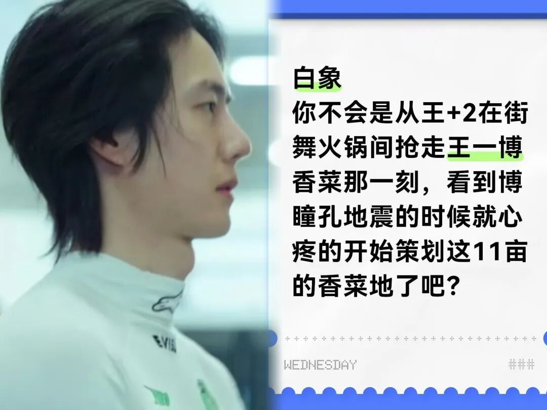 王一博 11亩香菜地