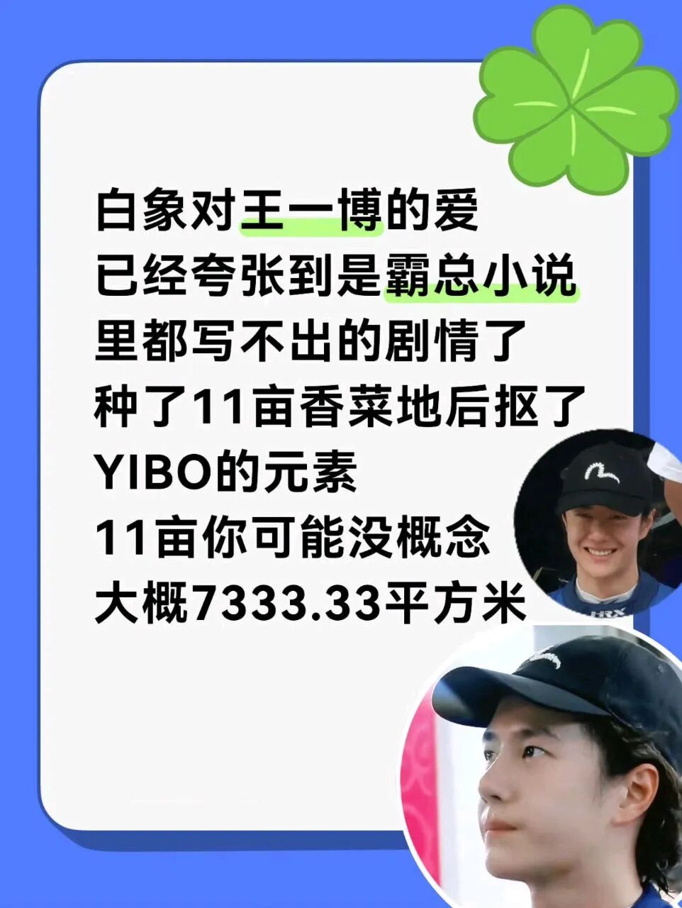 王一博 11亩香菜地