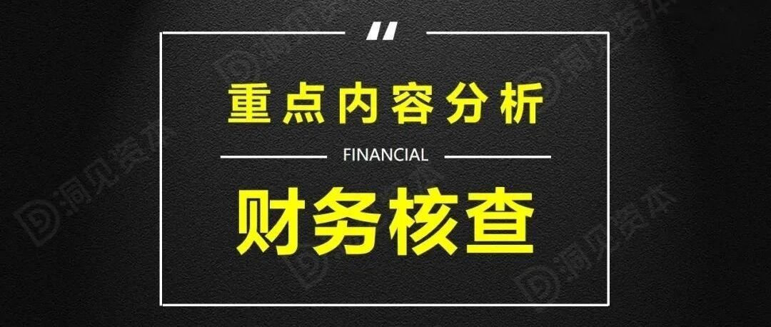 IPO财务核查重点内容分析!（附案例）