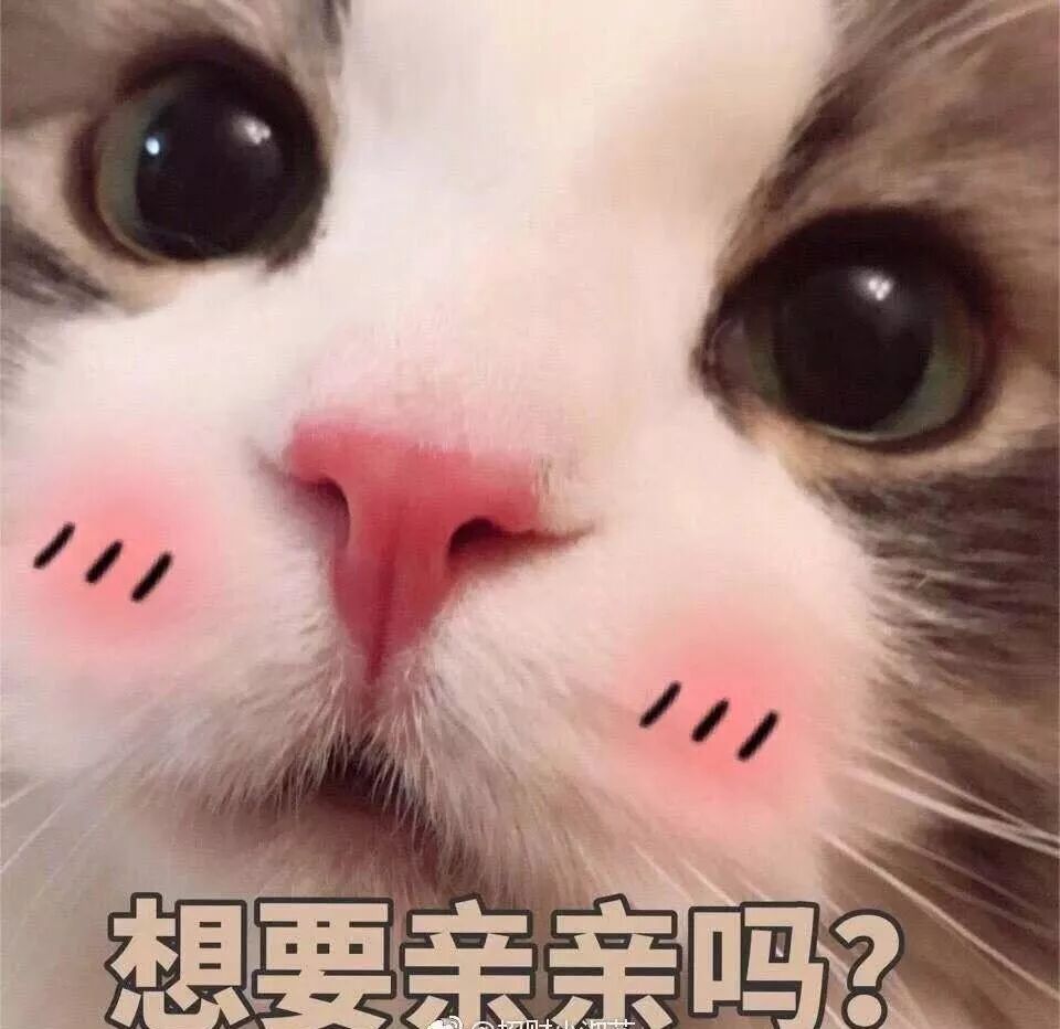 长脸的凸嘴女孩如何像水原希子一样洋气 新氧美学院 微信公众号文章阅读 Wemp