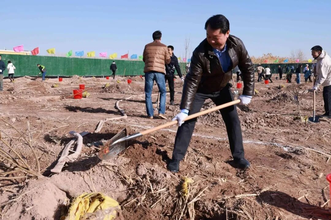 绿美粤新广东援疆队伍在喀什种下同心林