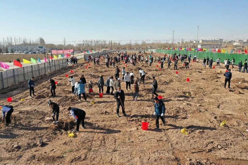 绿美粤新广东援疆队伍在喀什种下同心林