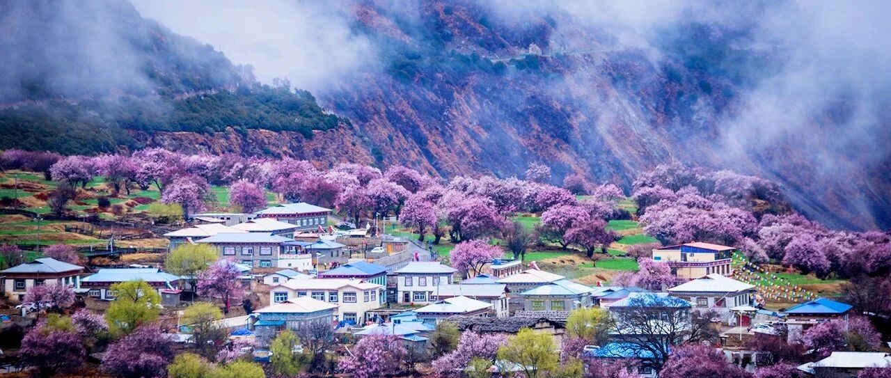 最美桃花节在即，送君藏区风俗习惯20条
