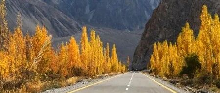 行走南疆 又一高颜值公路曝光