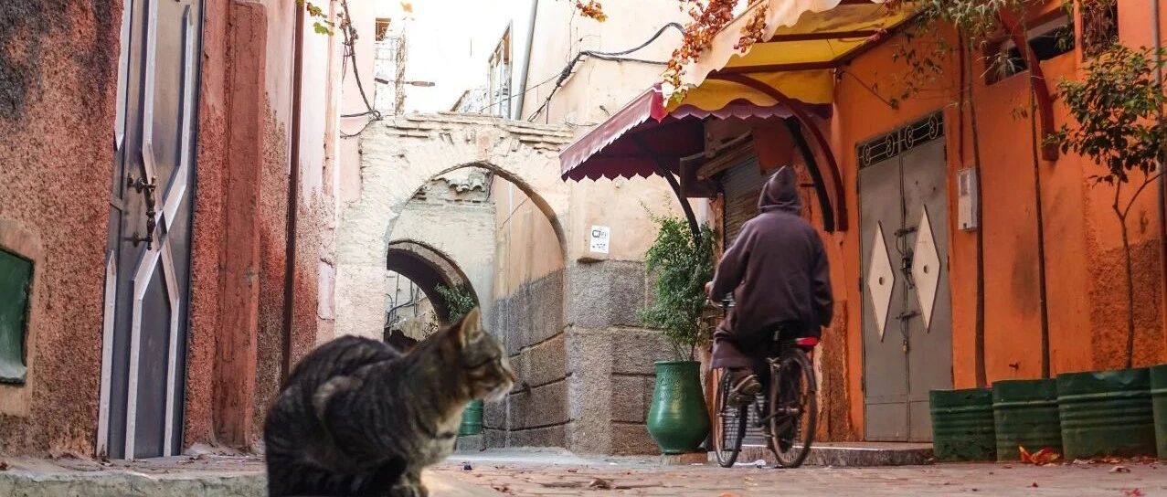 梦中西域 情牵南疆