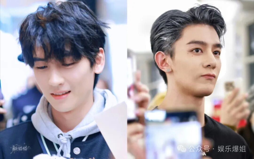 王一博顶流?白鹿和爱奇艺?三里屯三姐妹?