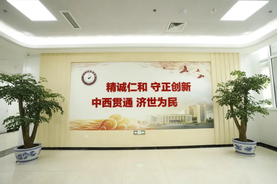 省级区域中医医疗中心验收通过+多项国家级荣誉加身 滨州市中医医院2025年高质量发展交出亮眼答卷插图7