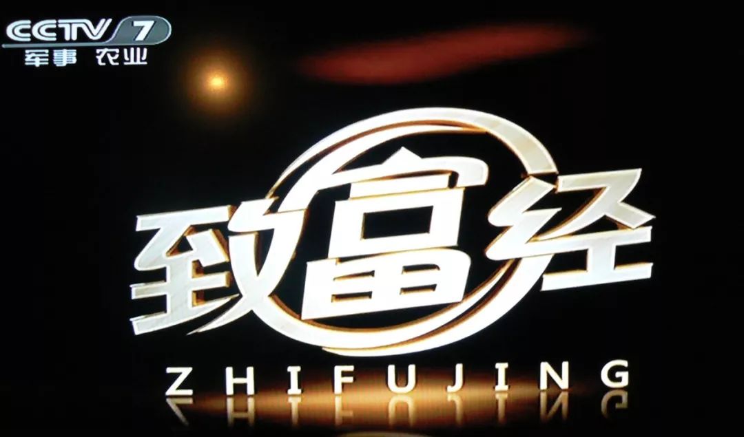 家庭致富小项目_致富经创业项目农村_致富经致富经