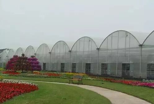 各種大棚造價(jià)、性?xún)r(jià)比及使用說(shuō)明大全，為您節省開(kāi)支|益生源頭條-南陽(yáng)市益生源肥業(yè)有限公司