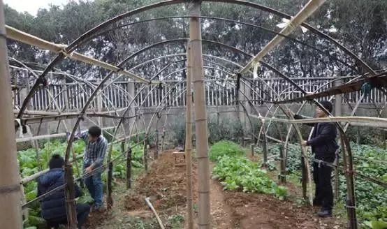 各種大棚造價(jià)、性?xún)r(jià)比及使用說(shuō)明大全，為您節省開(kāi)支|益生源頭條-南陽(yáng)市益生源肥業(yè)有限公司