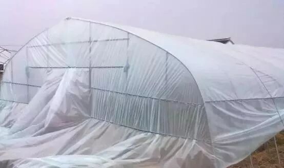 各種大棚造價(jià)、性?xún)r(jià)比及使用說(shuō)明大全，為您節省開(kāi)支|益生源頭條-南陽(yáng)市益生源肥業(yè)有限公司