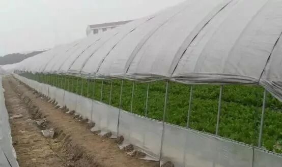 各種大棚造價(jià)、性?xún)r(jià)比及使用說(shuō)明大全，為您節省開(kāi)支|益生源頭條-南陽(yáng)市益生源肥業(yè)有限公司