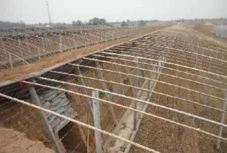 各種大棚造價(jià)、性?xún)r(jià)比及使用說(shuō)明大全，為您節省開(kāi)支|益生源頭條-南陽(yáng)市益生源肥業(yè)有限公司