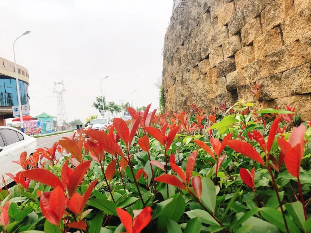 江西中医药大学科技学院简称_江西中医药大学科技_江西中医学院科技学院官网