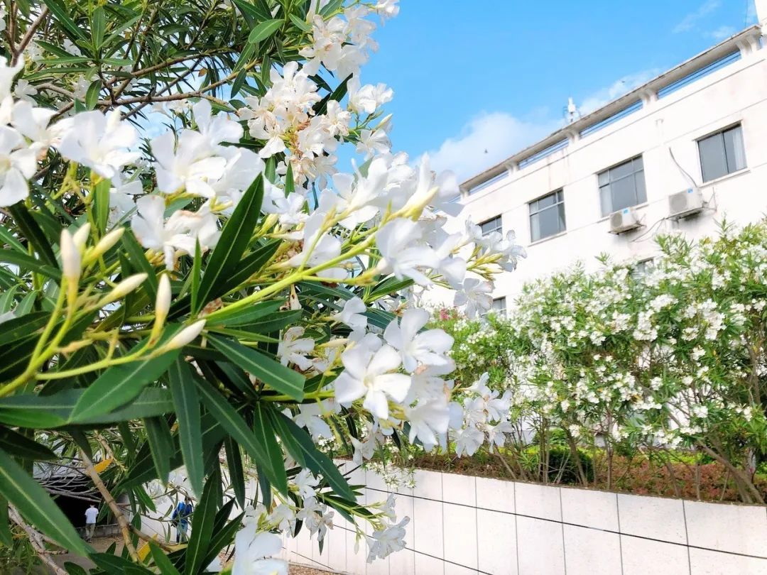 江西中医药大学科技_江西中医药大学科技学院简称_江西中医学院科技学院官网