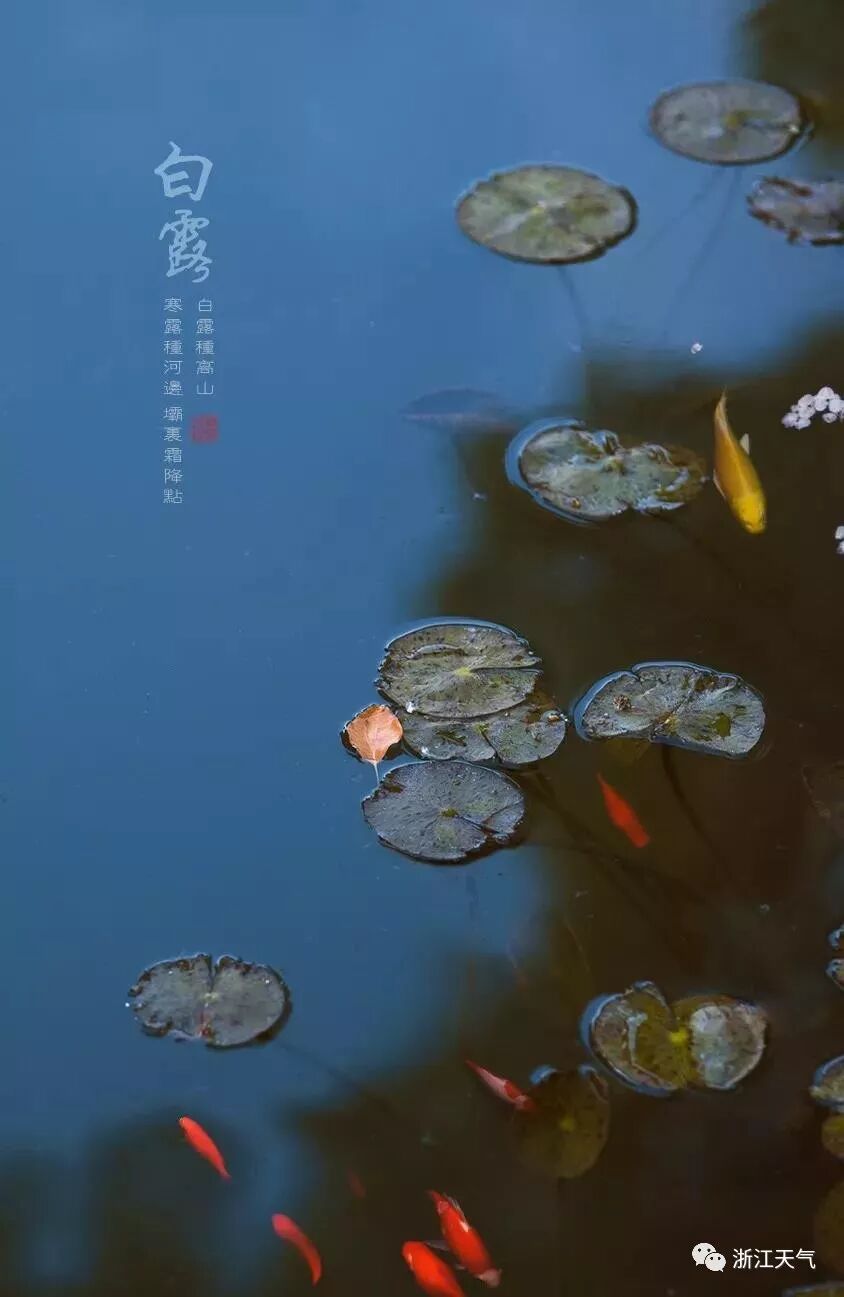 



注意！副高伸出“魔爪”，“秋老虎”靠近预警！
