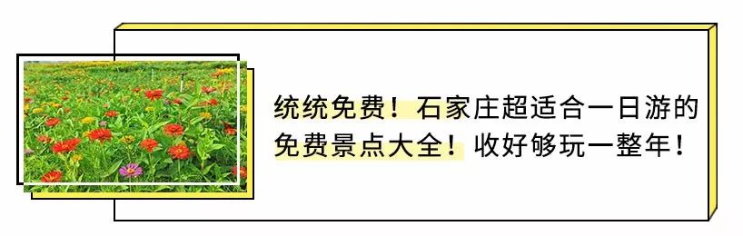 超便宜機票大盤點！石家莊出發不到2小時就到！一定要存起來！ 旅遊 第45張