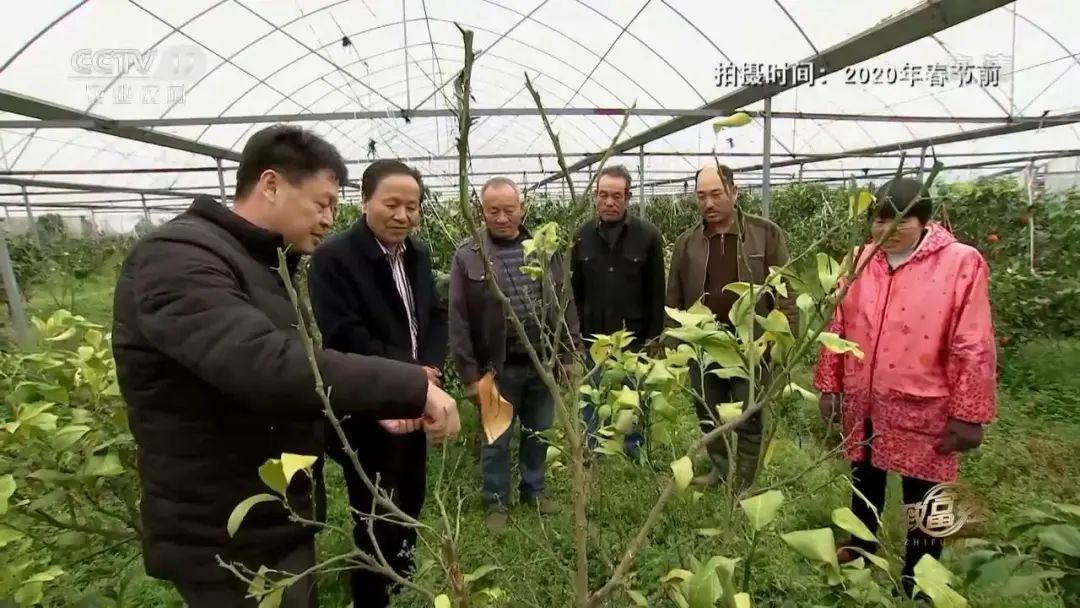 央视致富节目_央视致富经_致富经央视