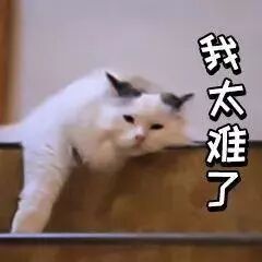 生完孩子就没事啦？谨防五大分娩后遗症