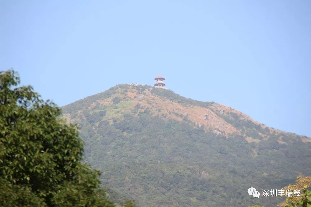 丰瑞鑫全体员工相约登顶东莞第一峰 丰瑞鑫全体员工相约登顶东莞第一峰