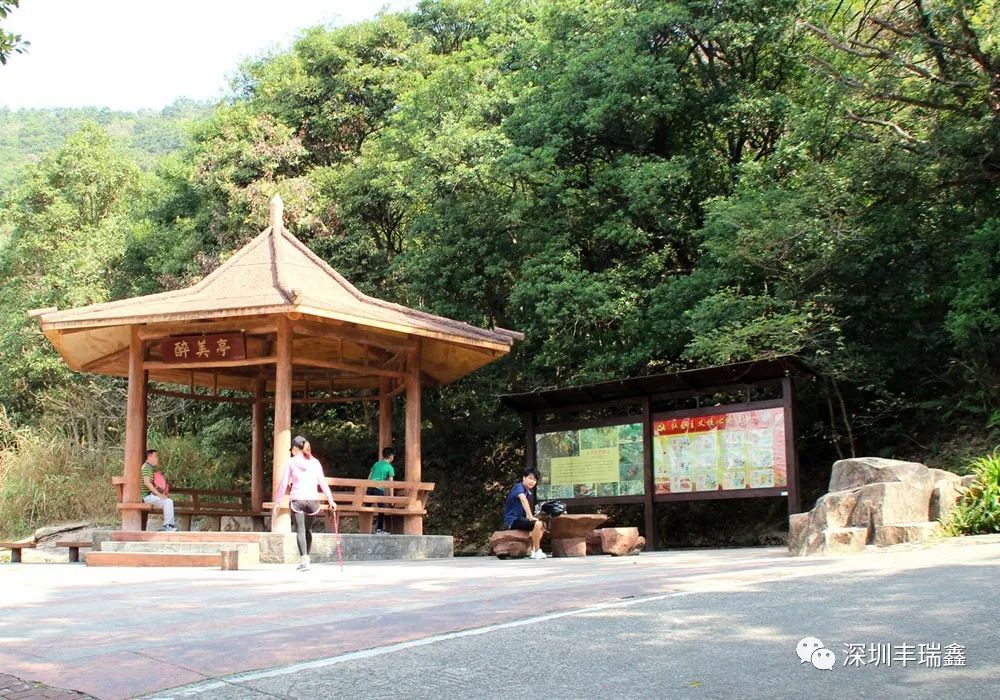 丰瑞鑫全体员工相约登顶东莞第一峰 丰瑞鑫全体员工相约登顶东莞第一峰