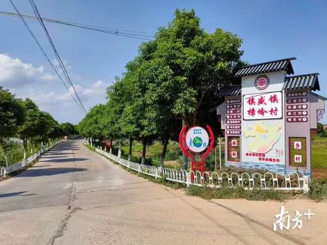 茂名镇盛镇樟岭村党员先锋行构建美丽和谐新农村