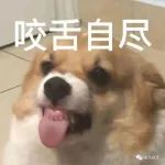 “网友拒绝相亲对象的尬撩后...” 聊天油得我直呼救命！