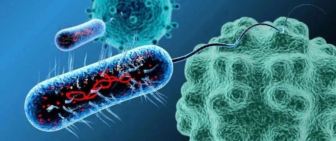 清创仪器怎么使用多功能清创机 ｜ 小小超声清创机 解决患者大问题_https://www.jmylbn.com_新闻资讯_第8张