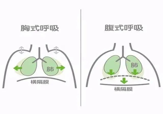 医疗设备怎么做医疗设备 ｜ 肌电生物反馈仪：腹式呼吸做得好 盆底康复更有效_https://www.jmylbn.com_新闻资讯_第2张
