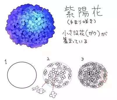 初学基础 各种花的画法 简单容易上手 教你画简笔画漫画 微信公众号文章阅读 Wemp