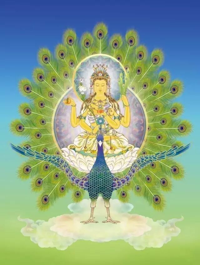 附体病 孔雀明王咒太厉害了：去附体、治疾病、祈雨消灾避地震，还能改风水！