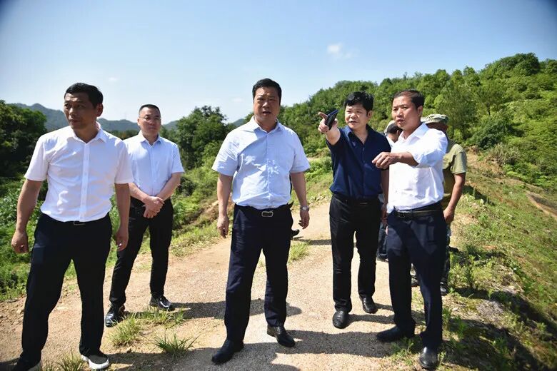 罗卫国一行先后来到杨溪新塘水库,中潢圩堤塔州信江大桥,锦江镇前进村
