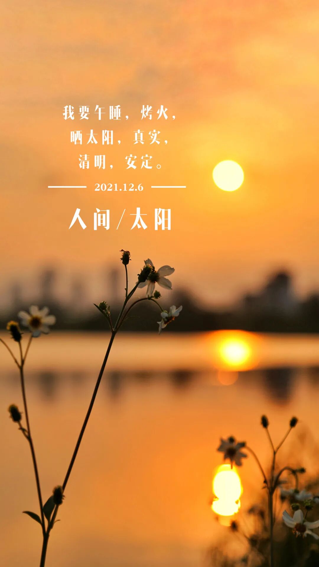 你来人间一趟 你要晒晒太阳 全网搜