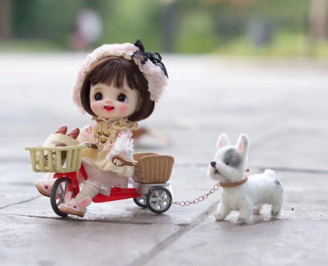 ���롰������Ȧ���� �ҿ�����Ǯ���������˲���׼�����С���