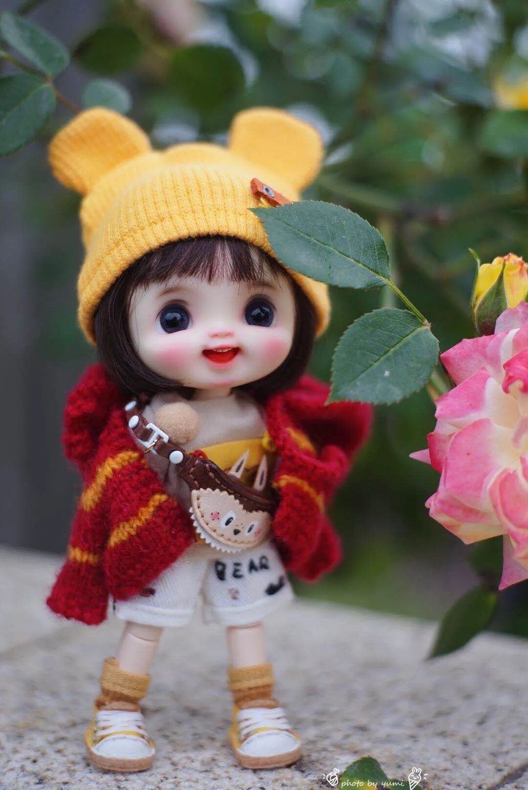 ���롰������Ȧ���� �ҿ�����Ǯ���������˲���׼�����С���