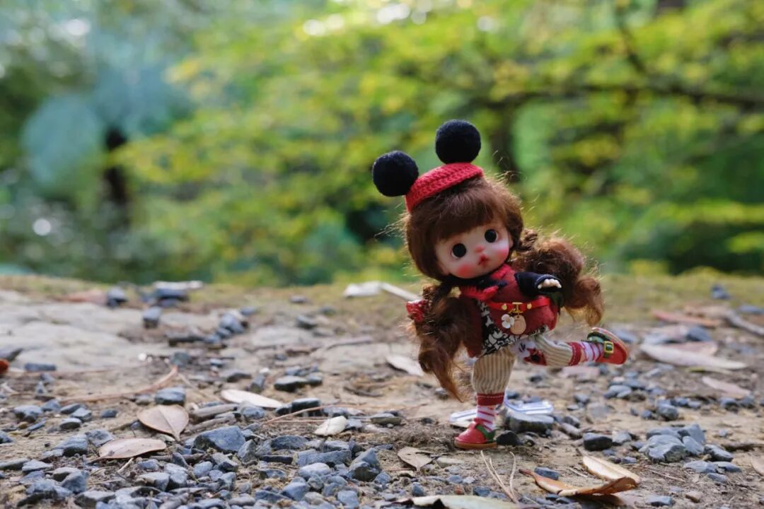 ���롰������Ȧ���� �ҿ�����Ǯ���������˲���׼�����С���