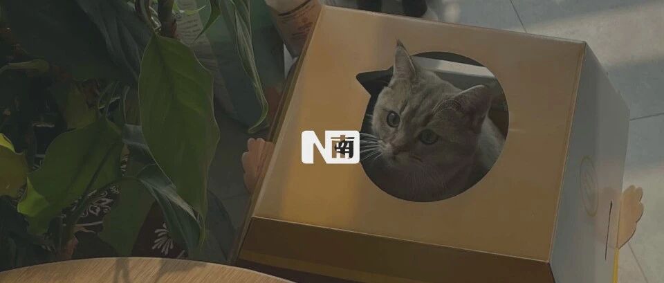 麦当劳10万个猫窝一天售罄，当代铲屎官：别人家猫有的，我家猫也要有！