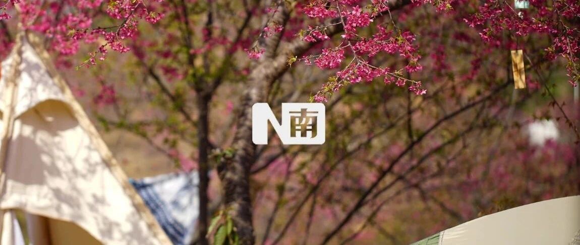 等不及倒计时，他们已经开始行动了