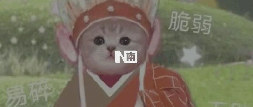 饱受影视剧IP改编荼毒之后，许愿2022：翻拍、魔改求放过！