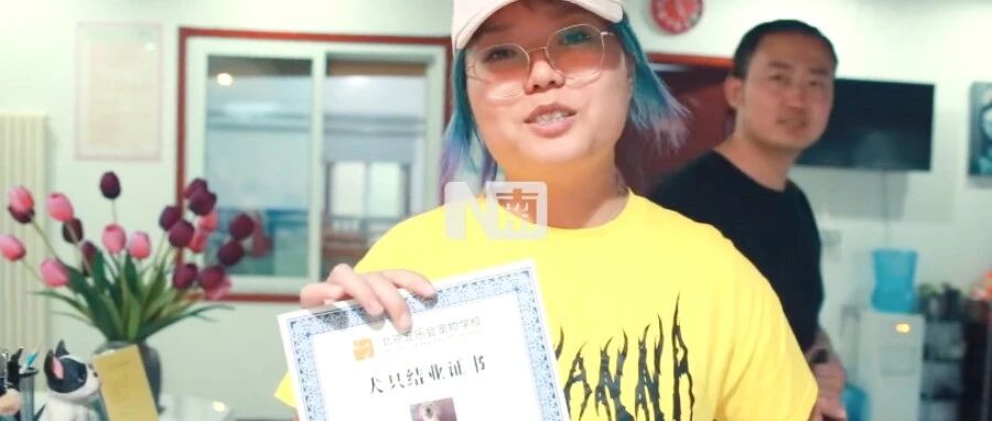 狗子扑人、乱叫，养狗一个月后我决定送它上培训班