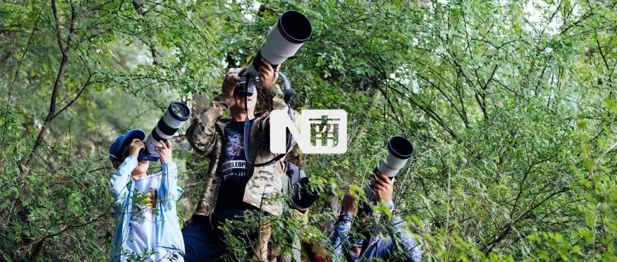 一掷万元的研学旅游，是玩还是学？