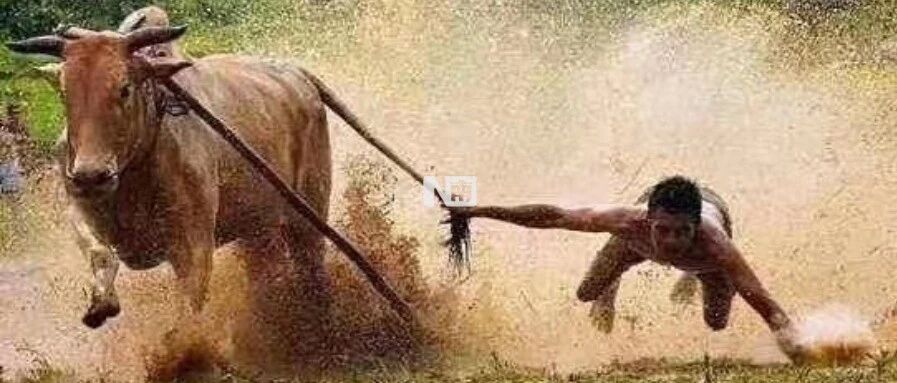 股市五天暴涨超12%，90后跑步进场，他们会是新一茬韭菜吗？