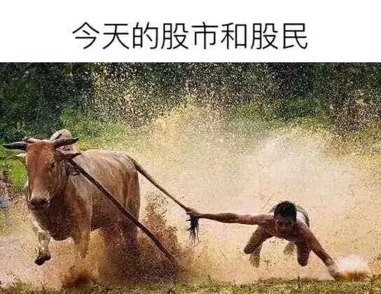 �������챩�ǳ�12%��90���ܲ����������ǻ�����һ��²���