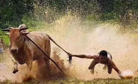 �������챩�ǳ�12%��90���ܲ����������ǻ�����һ��²���