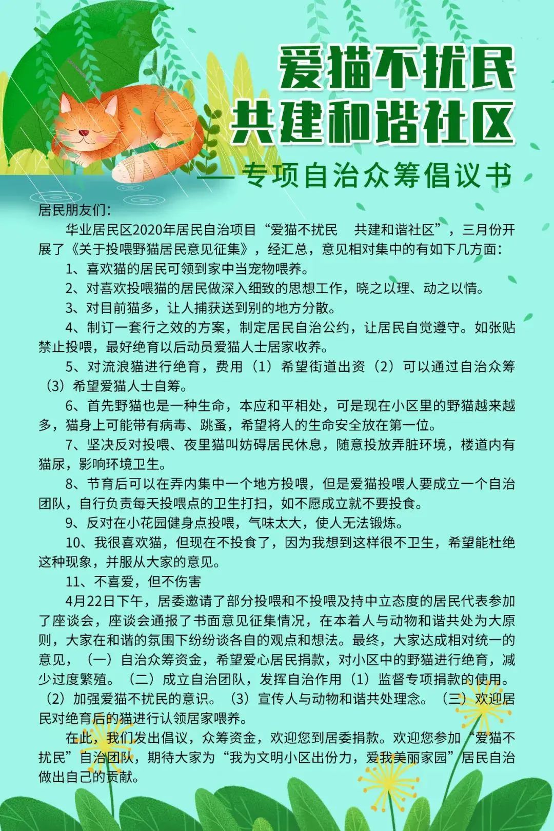 你給流浪貓貓的愛，帶來的是不是互相傷害？ 寵物 第12張