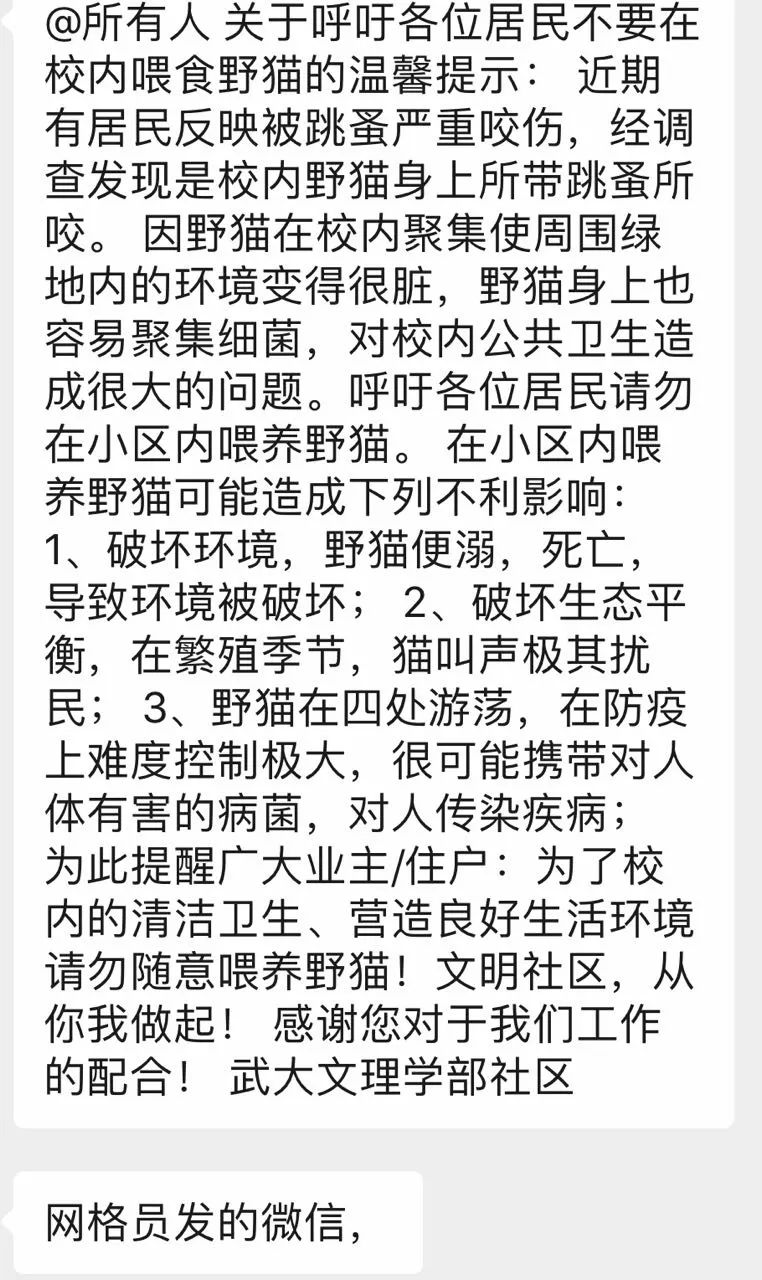 你給流浪貓貓的愛，帶來的是不是互相傷害？ 寵物 第3張