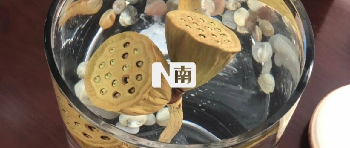 摘下并蒂莲、推倒告示牌、乱划古城墙……景区里的“无敌破坏王”何其多