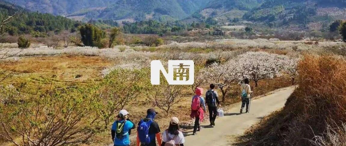 什么就地过年，我直接想原地放假！