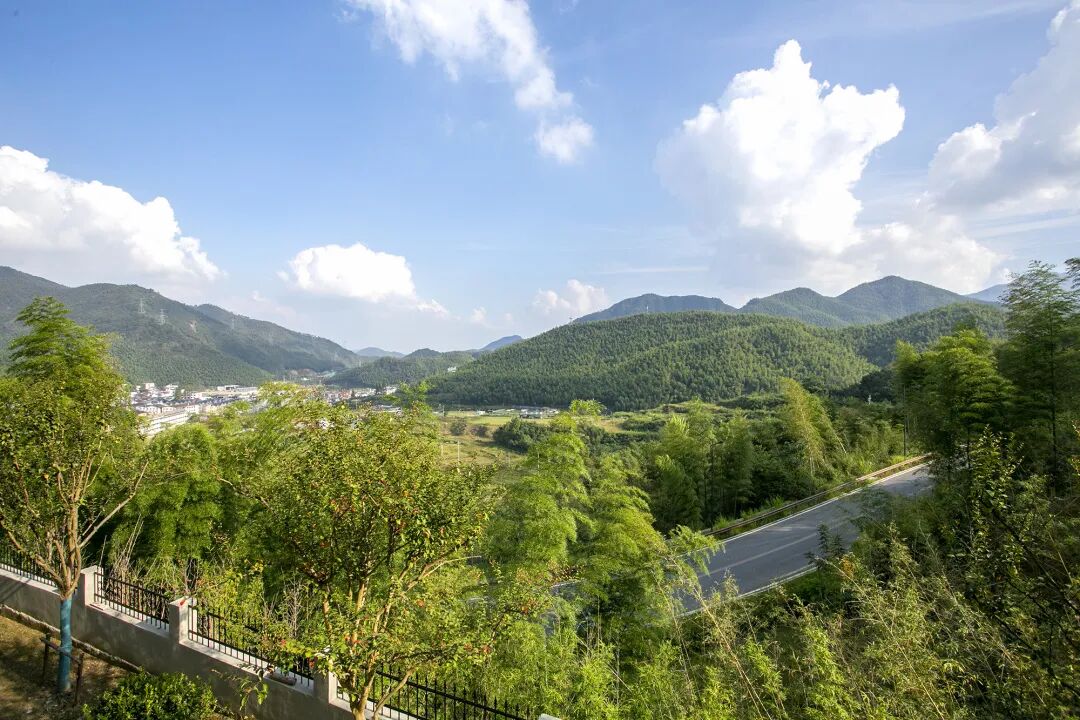 床垫哪种好品牌慕思床垫_慕思床属于什么档次_慕思床价位