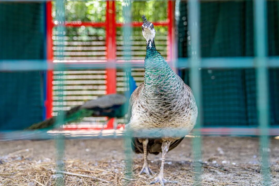 慕思床价位_床垫哪种好品牌慕思床垫_慕思床属于什么档次
